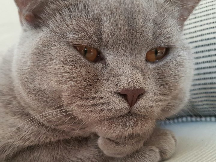 тоа човек цтрахил заговорничи срешто мене!!!!