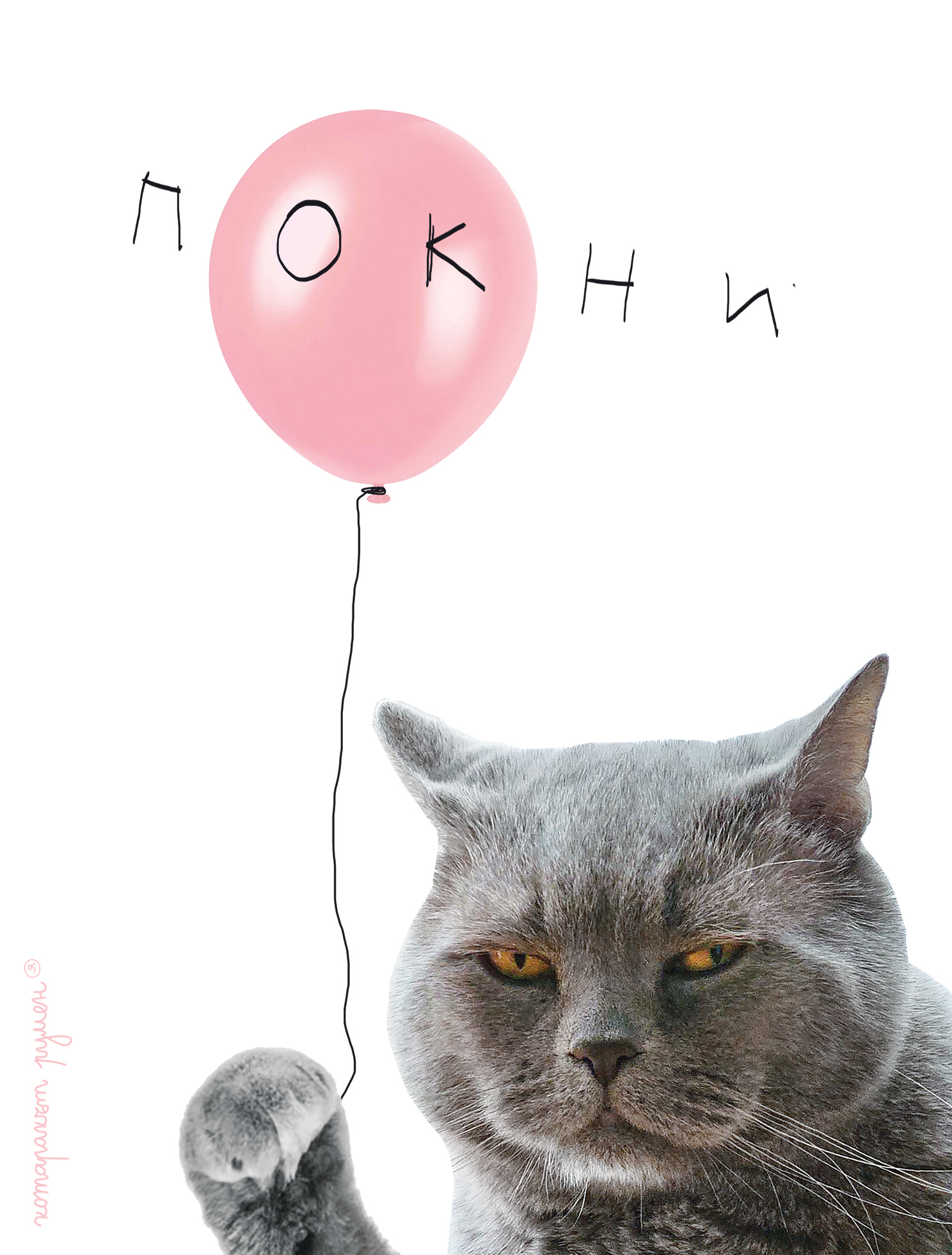 покни
