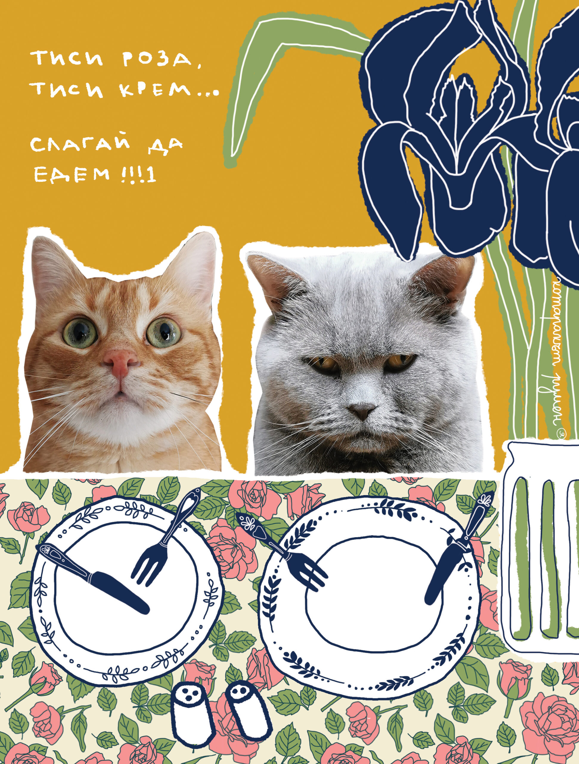 тиси роза copy