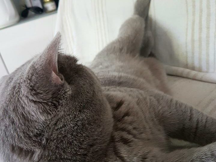 доло лапите од сакралните ми крайници!!1