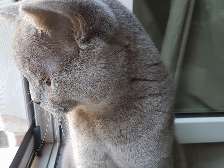 ного точки, малко точки, глатката кодка, врабогонката, белоглухата, птицекодката и къпаната цтефка СА НОГО ЦКАПАНИ!!1