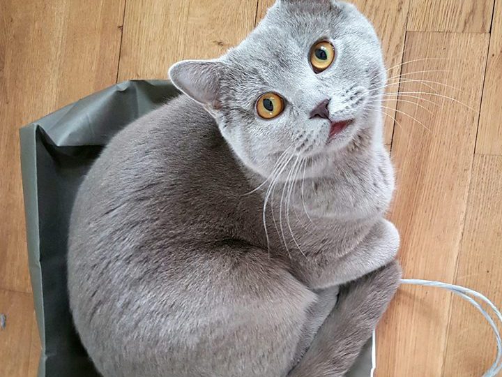 саз какъфто се сабереш…