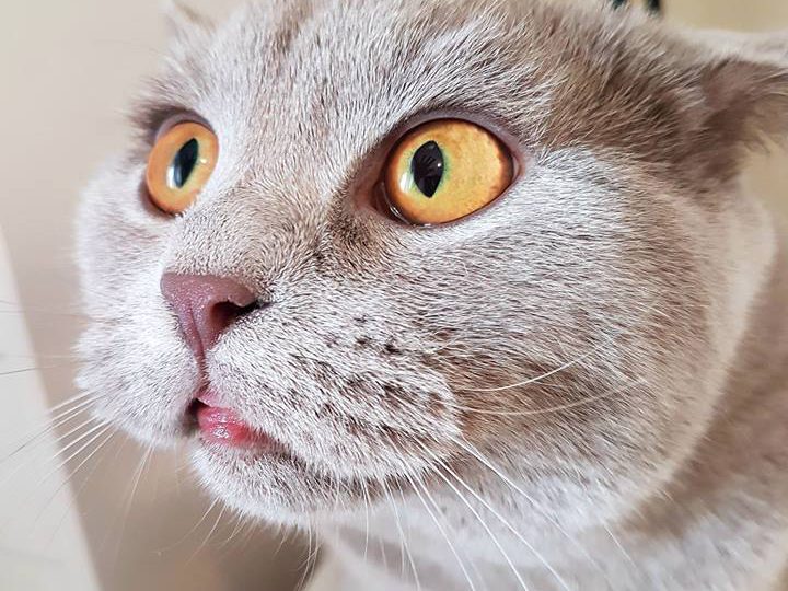 ВЕДНЪШ СЕ ЖИВЕЙ СНЕШКЕЕЕЕЕЙЙЙ!!!11
