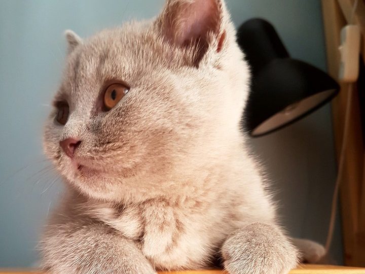 как да изглеждаме по млади ф нета