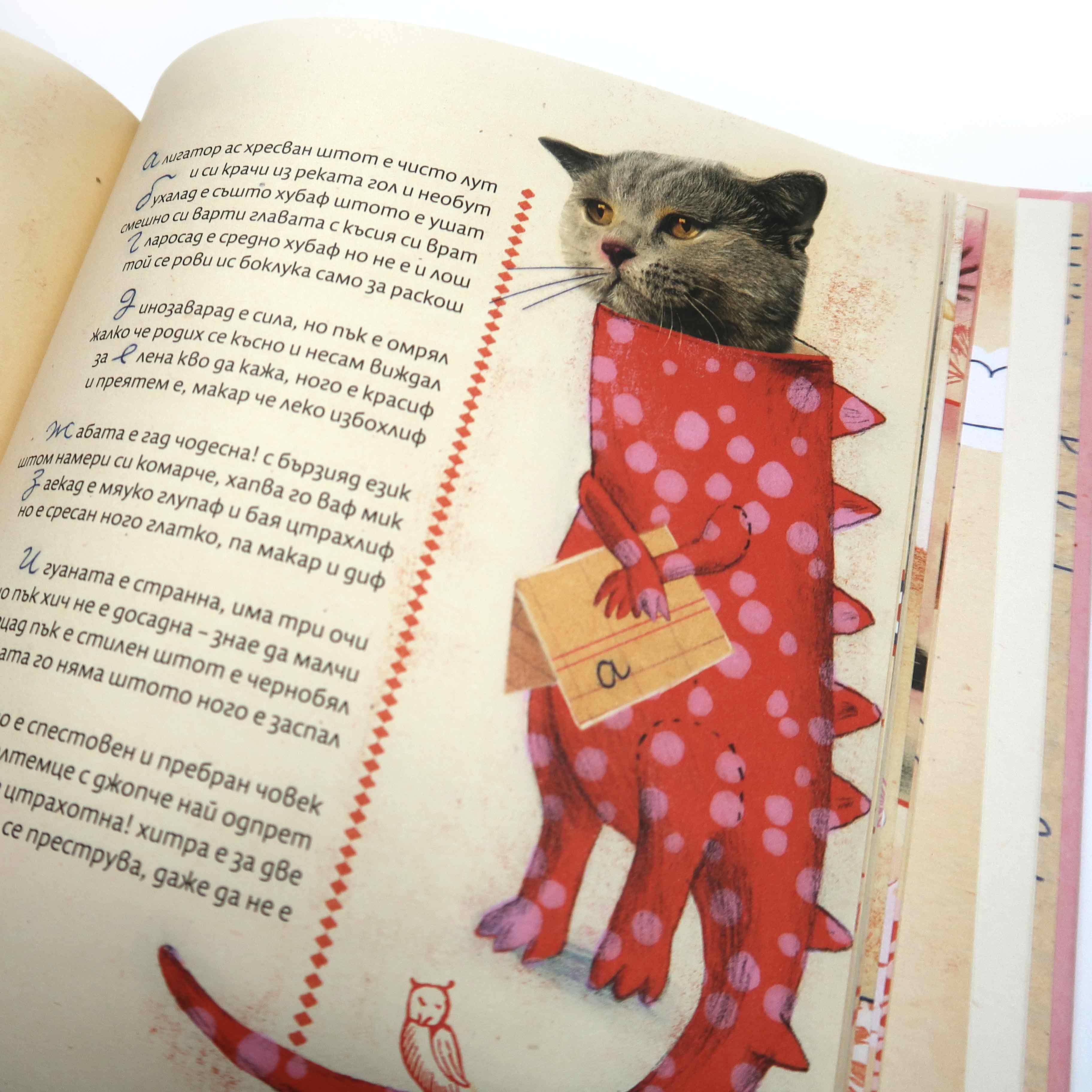 книга “РУМЕНАТА ПО-ЕЗИЯ НА КОТАРАКА РУМЕН”