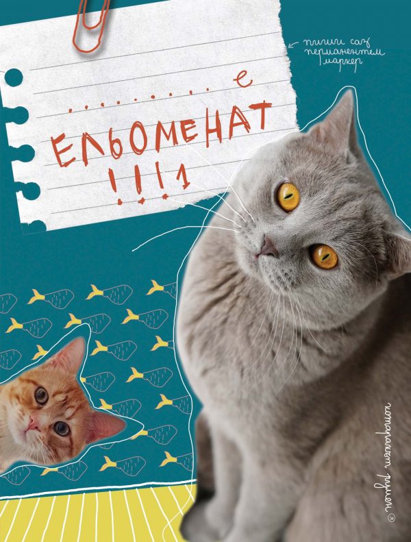 eljomenad