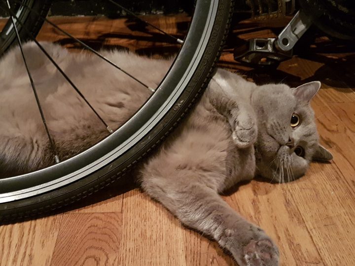 КОСАМАТ НА СМАРТА