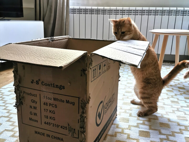 КПД-ТО Е ВАПРОЗ НА СТРАТЕГИА